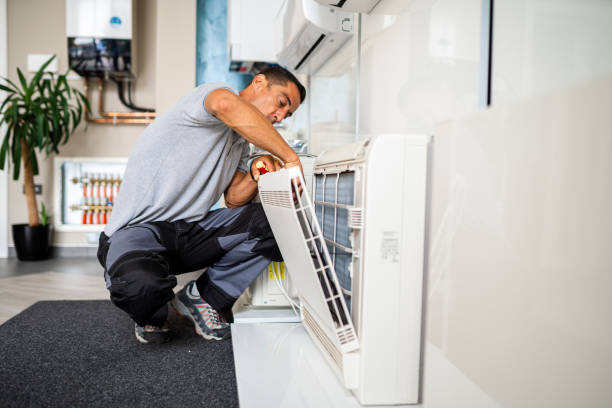 Best Home Air Vent Cleaning  in Centerville, IN